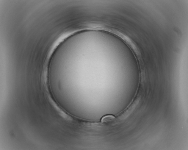 X0000113271432200910011419