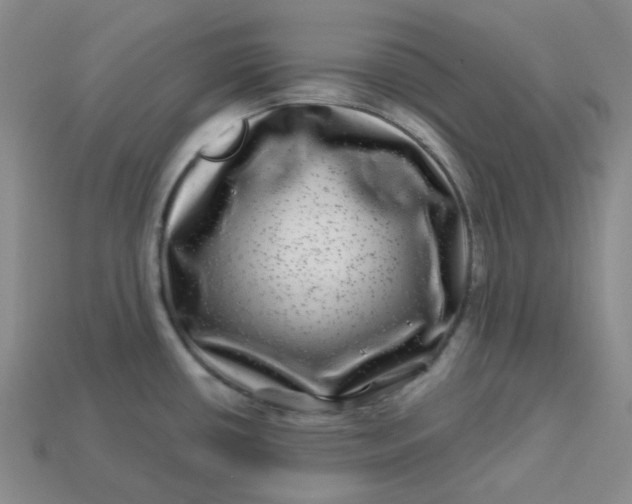 X0000113271434200910011419