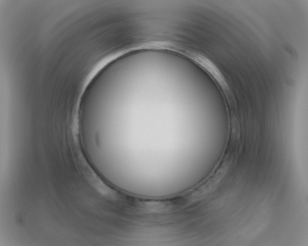 X0000113271436200910011419