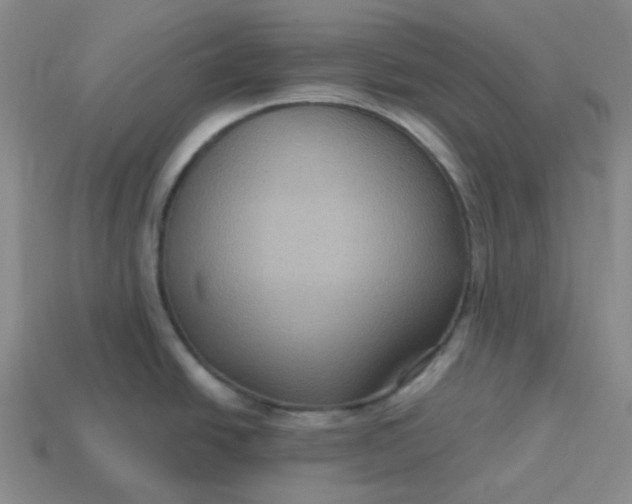 X0000113271438200910011419