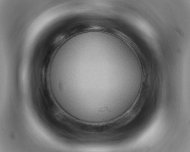 X0000113271439200910011419