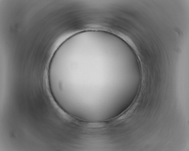 X0000113271440200910011419