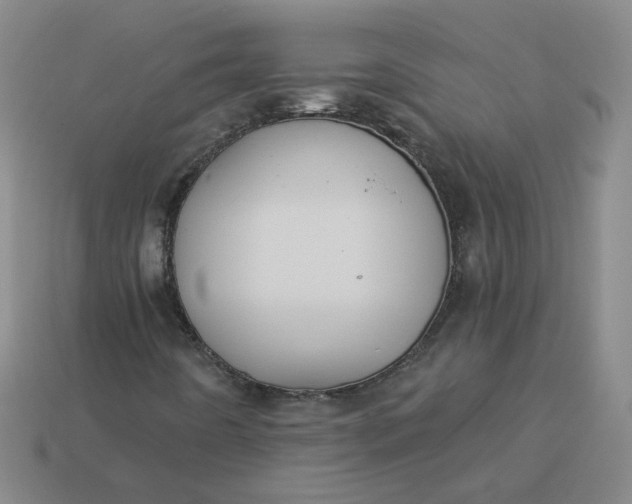 X0000113271442200910011418