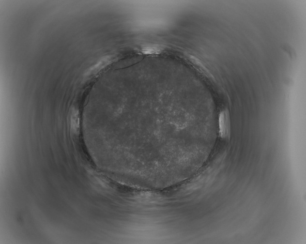 X0000113271443200910011418