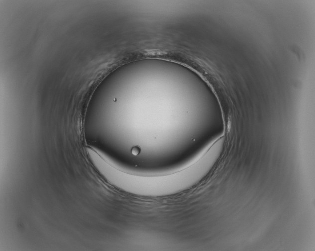 X0000113271444200910011418