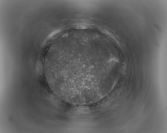 X0000113271446200910011418