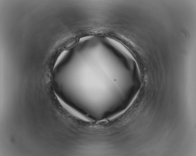 X0000113271447200910011418