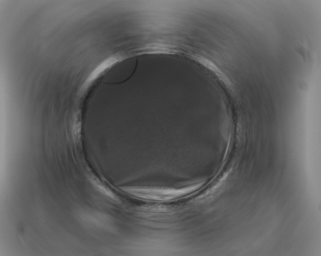 X0000113271450200910011418