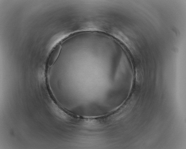 X0000113271452200910011418