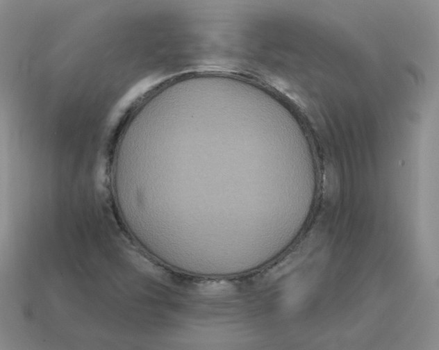 X0000113271454200910011418