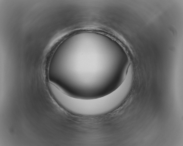 X0000113271456200910011418