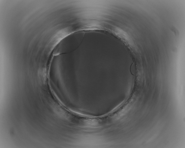 X0000113271457200910011418