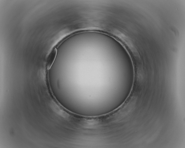 X0000113271460200910011418