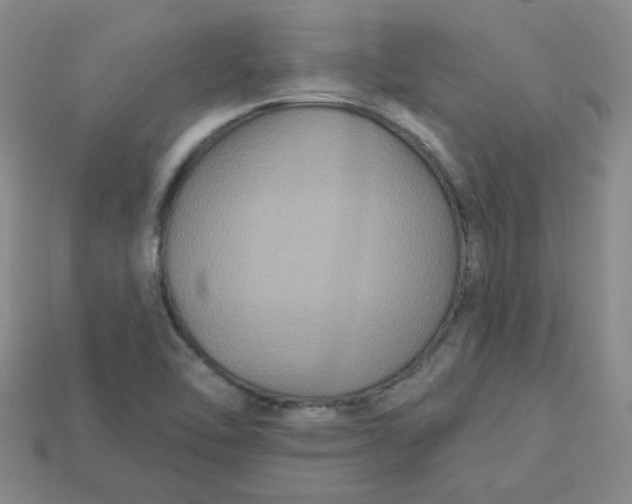 X0000113271462200910011418