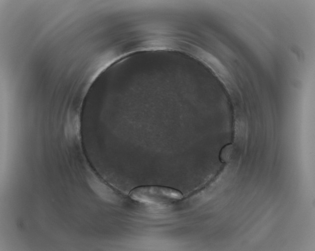 X0000113271465200910011418