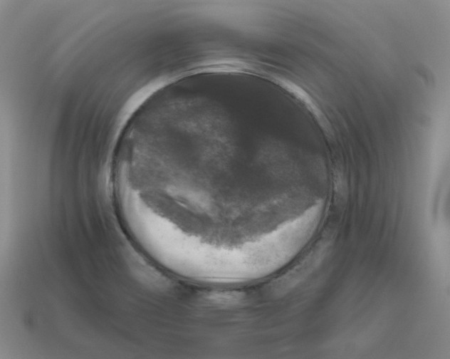 X0000113271466200910011418