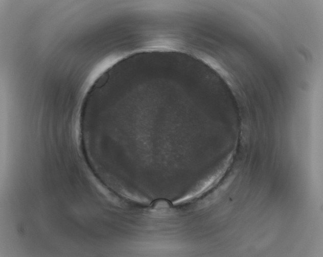 X0000113271469200910011418