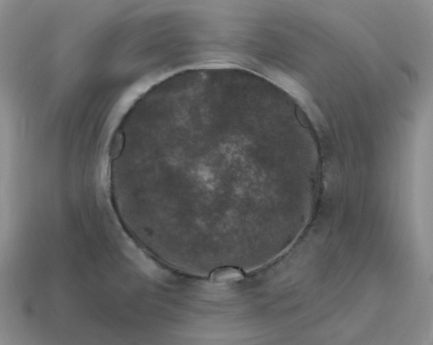 X0000113271472200910011418