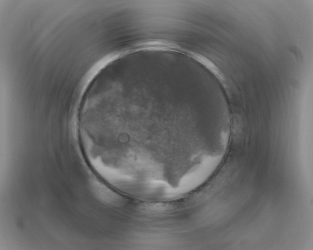 X0000113271474200910011418