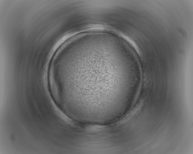 X0000113271475200910011418