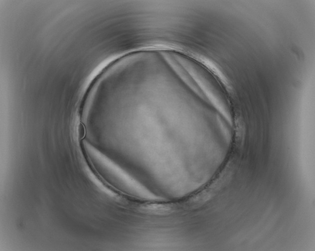 X0000113271476200910011418