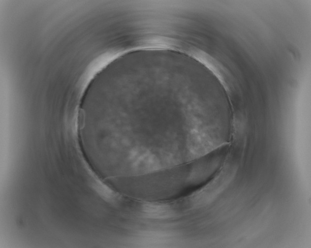 X0000113271477200910011418