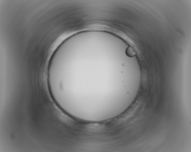 X0000113271478200910011418