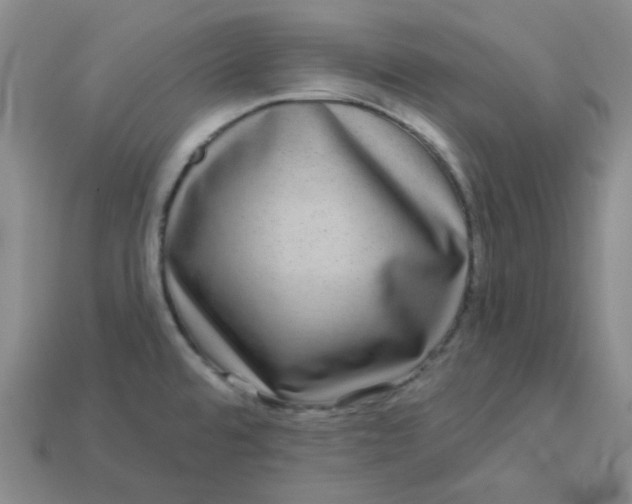 X0000113271480200910011418