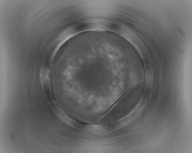 X0000113271481200910011418