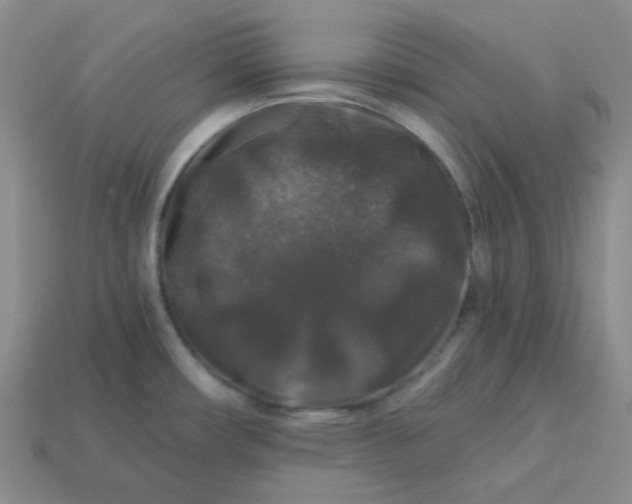 X0000113271482200910011418