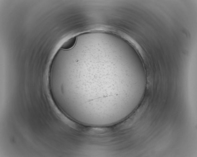 X0000113271483200910011418