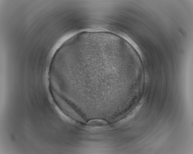 X0000113271485200910011418