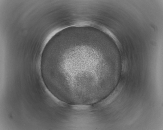 X0000113271487200910011418