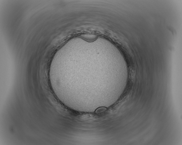 X0000113271489200910011417