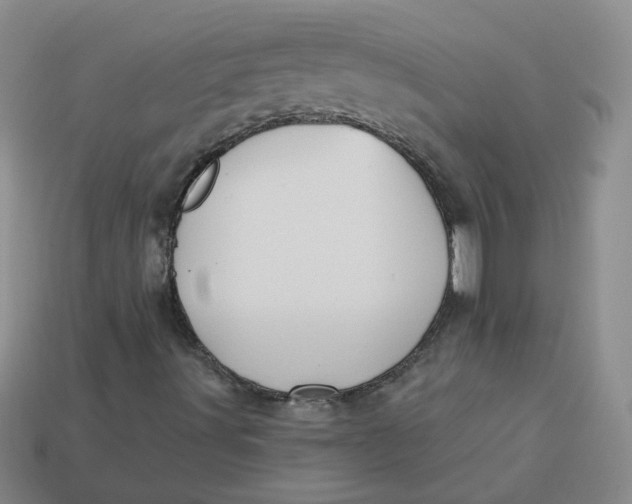 X0000113271491200910011417