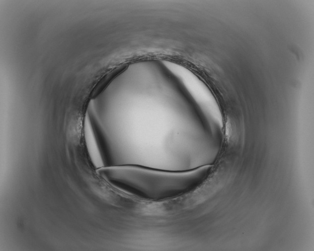 X0000113271492200910011417