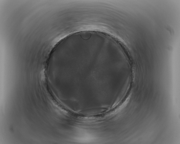 X0000113271497200910011417