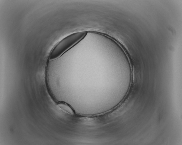 X0000113271500200910011417