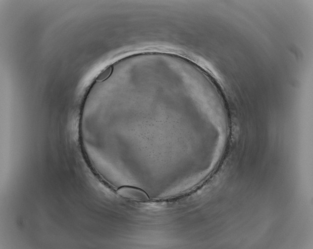 X0000113271504200910011417