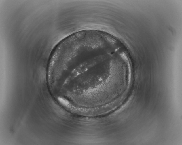 X0000113271505200910011417