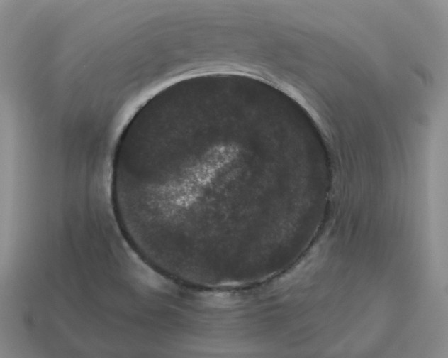 X0000113271508200910011417