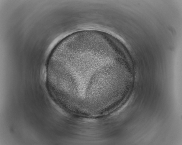 X0000113271509200910011417