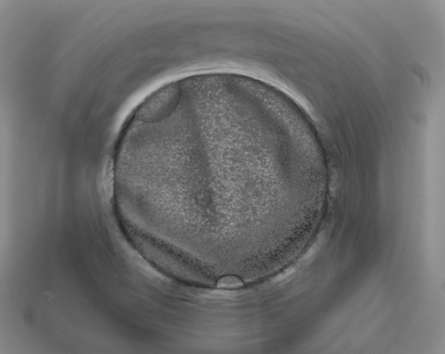 X0000113271510200910011417