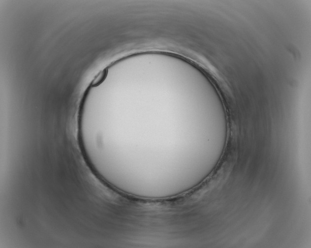 X0000113271512200910011417