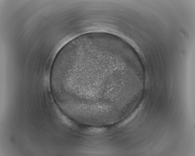 X0000113271513200910011417