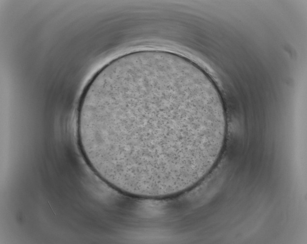 X0000113271514200910011417