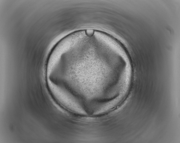 X0000113271517200910011417