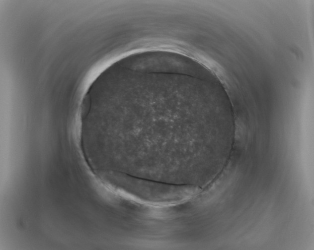 X0000113271520200910011417