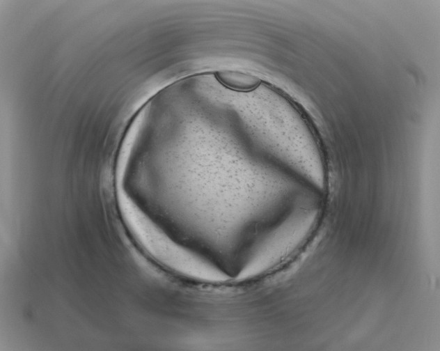 X0000113271521200910011417