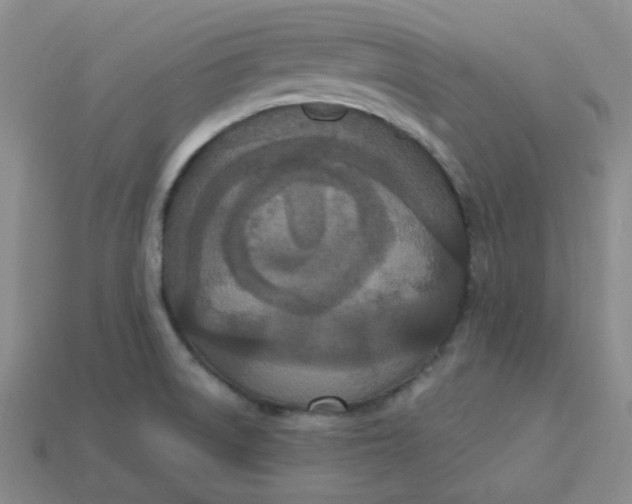 X0000113271522200910011417